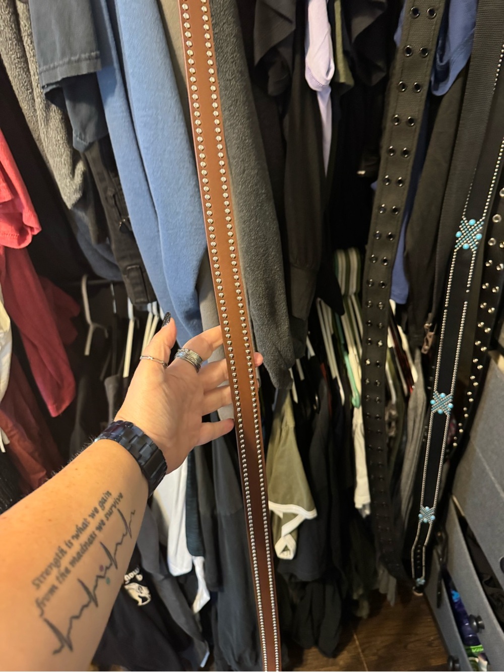 torrid Brown Studded Waist Belt